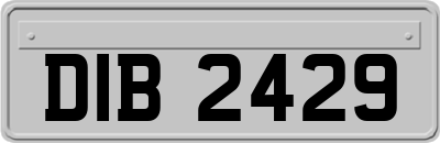 DIB2429
