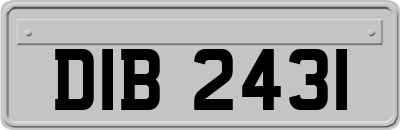 DIB2431