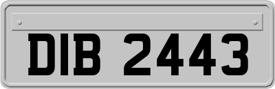 DIB2443
