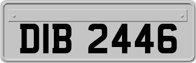 DIB2446