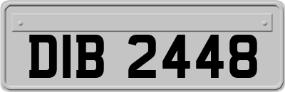 DIB2448