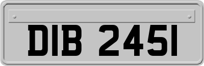 DIB2451