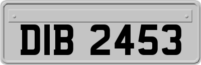 DIB2453