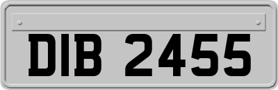 DIB2455
