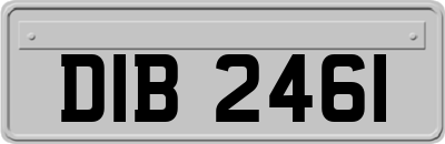 DIB2461