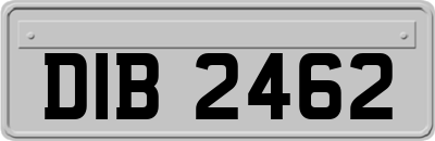 DIB2462