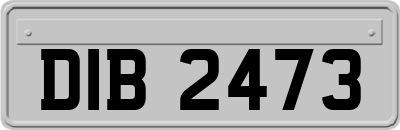 DIB2473