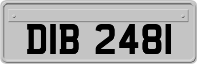 DIB2481