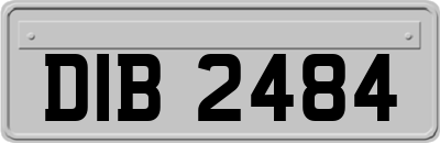 DIB2484