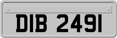 DIB2491