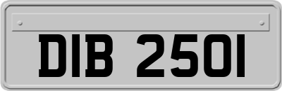 DIB2501