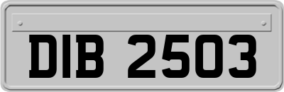 DIB2503
