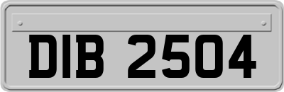 DIB2504
