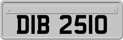DIB2510