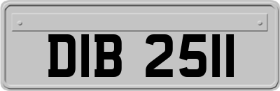 DIB2511