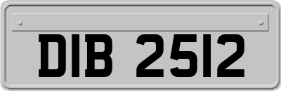 DIB2512