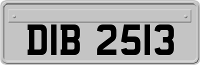 DIB2513