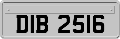 DIB2516