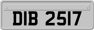 DIB2517