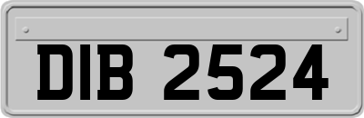 DIB2524