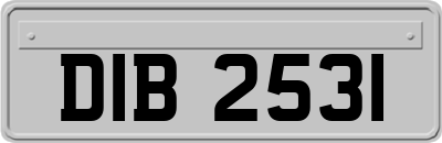 DIB2531