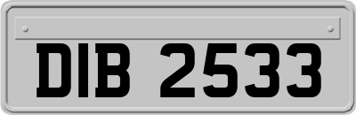 DIB2533