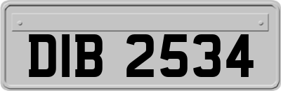 DIB2534