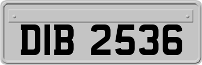 DIB2536