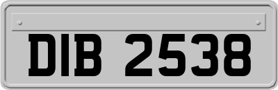 DIB2538