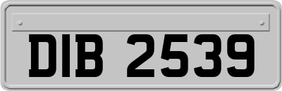 DIB2539