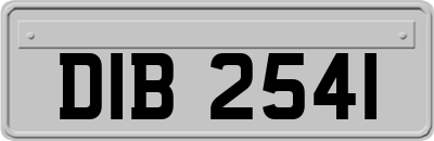 DIB2541