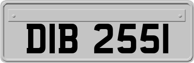 DIB2551