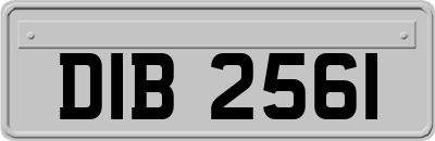 DIB2561