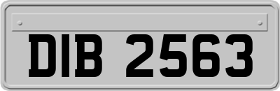 DIB2563