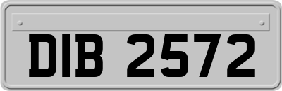 DIB2572