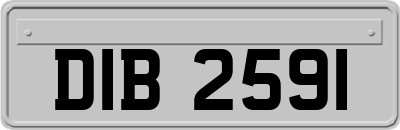 DIB2591
