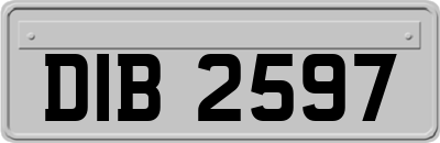 DIB2597