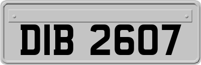 DIB2607