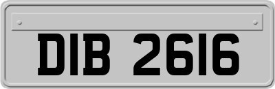DIB2616