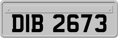 DIB2673