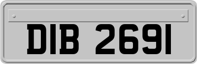 DIB2691