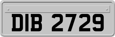 DIB2729