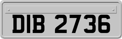 DIB2736