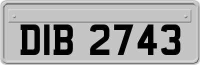 DIB2743
