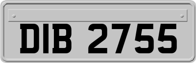 DIB2755