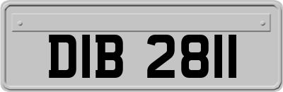 DIB2811