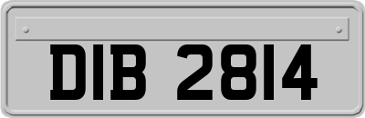 DIB2814