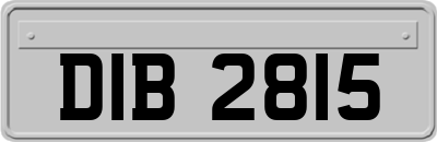 DIB2815