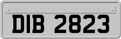 DIB2823