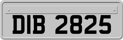 DIB2825